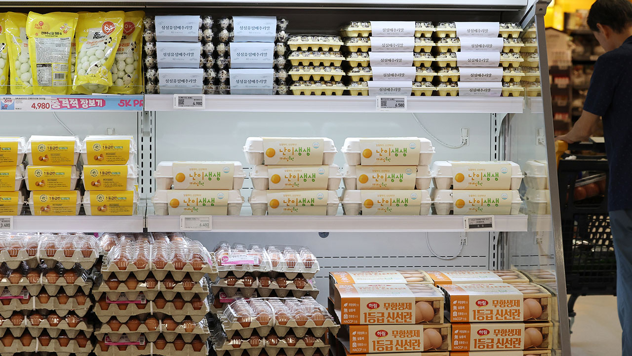 농식품부, 계란 값 우려에 산란계 '면적 확대' 2년 늦춰