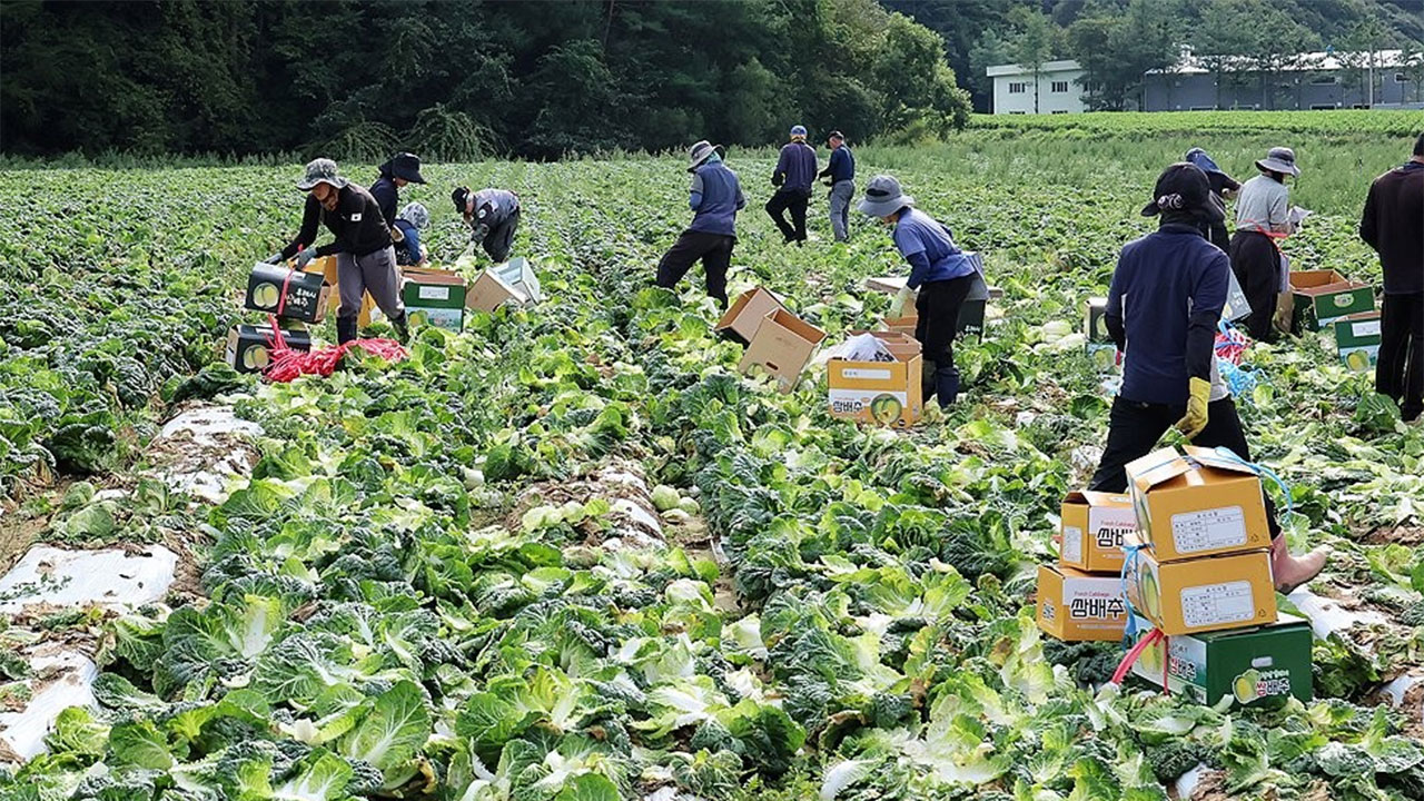 농식품부, '농어촌 기본소득' 시범사업 대상지 공모