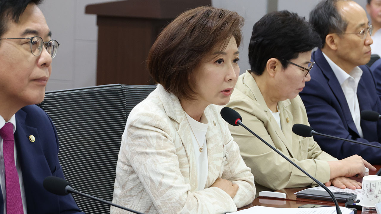 나경원 "트럼프 관세에 국가 안보 흔들‥야당이 대안 제시해야"