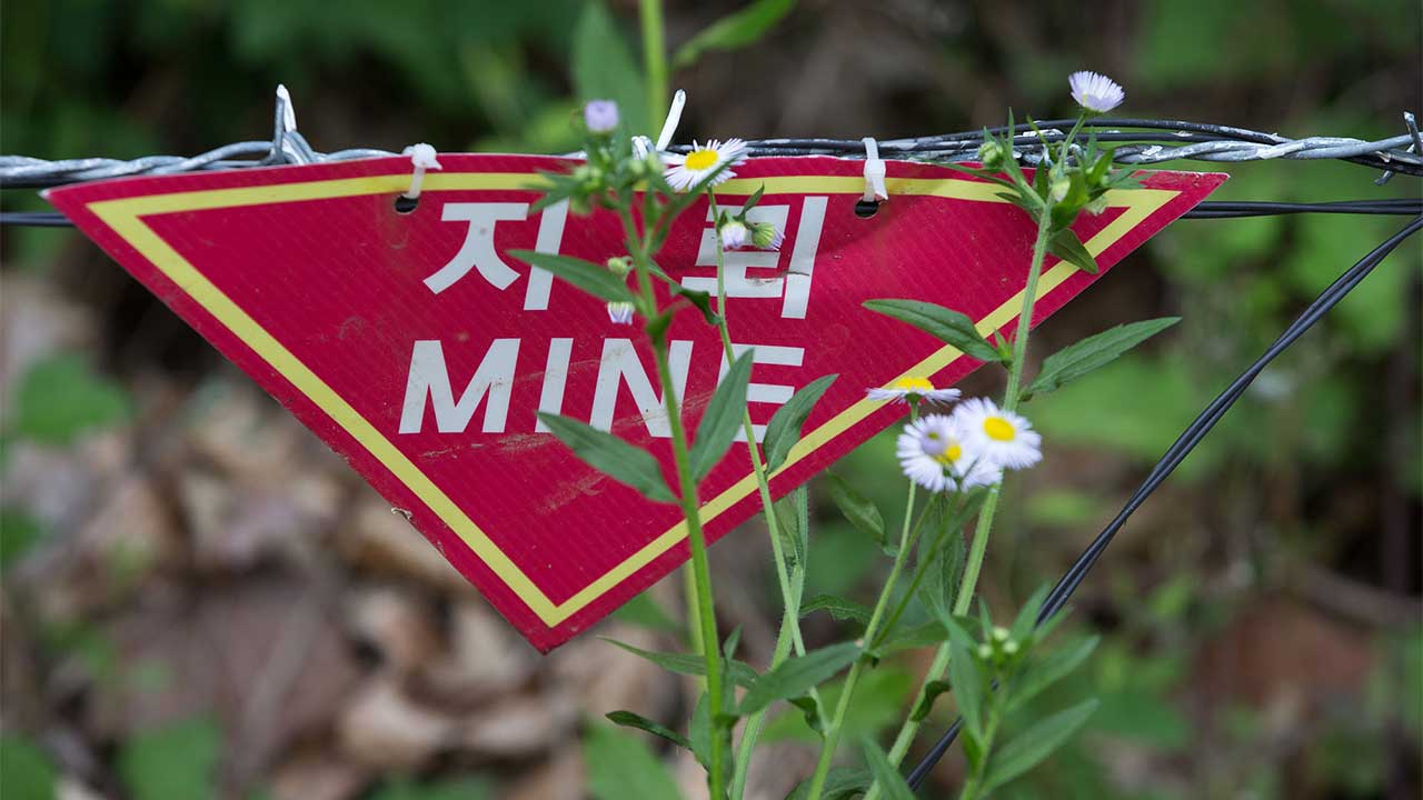 파주 서부전선 비무장지대서 폭발사고‥육군 하사 부상