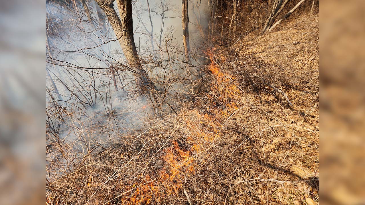 전국 곳곳 산불 잇따라‥불씨 관리 주의 당부