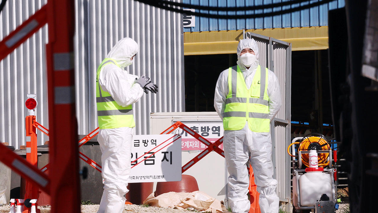 전남 영암 농장 3곳 구제역 추가 확진‥4곳으로 늘어