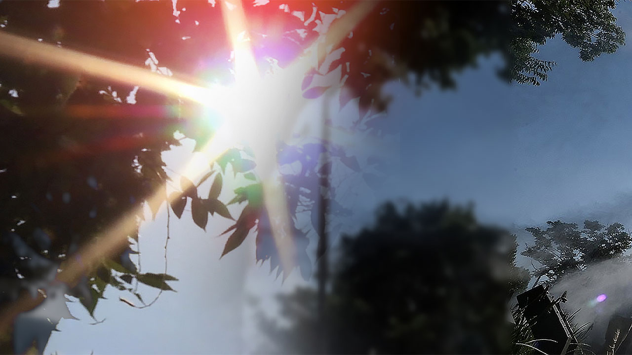 세계기상기구 "2024년 지구 평균 온도, 산업화 이전 대비 1.5도 넘은 첫 해"