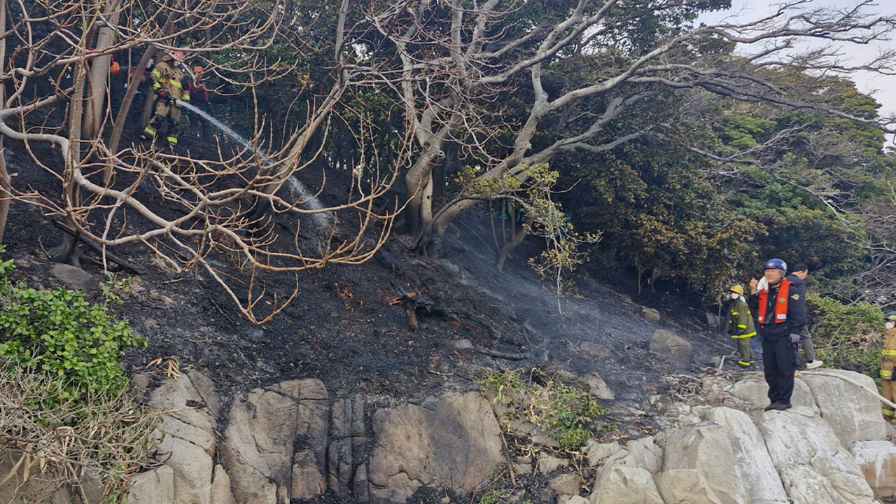 '천연기념물' 울산 목도 화재‥2시간 만에 진화