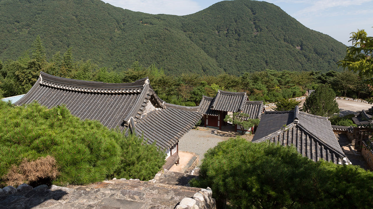 900살 은행나무 등 산불에 국가유산 5점 일부 소실