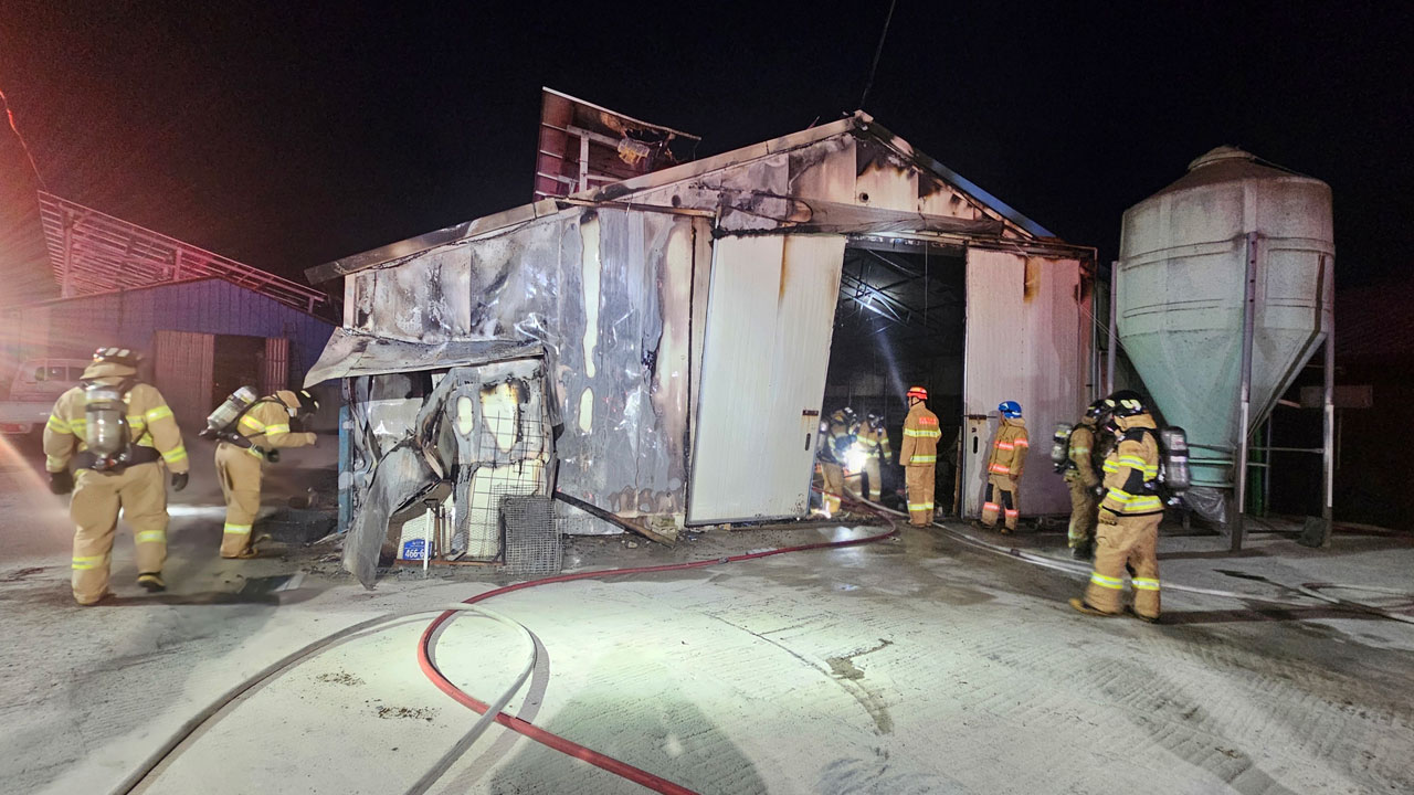 김제 양계장서 불‥닭 1만 5천 마리 폐사