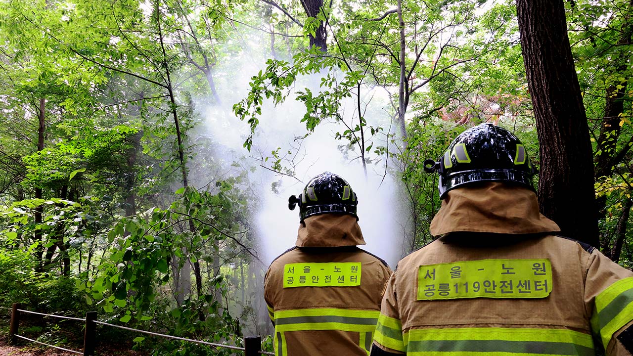 환경부, 러브버그 대발생한 계양산서 방제 작업