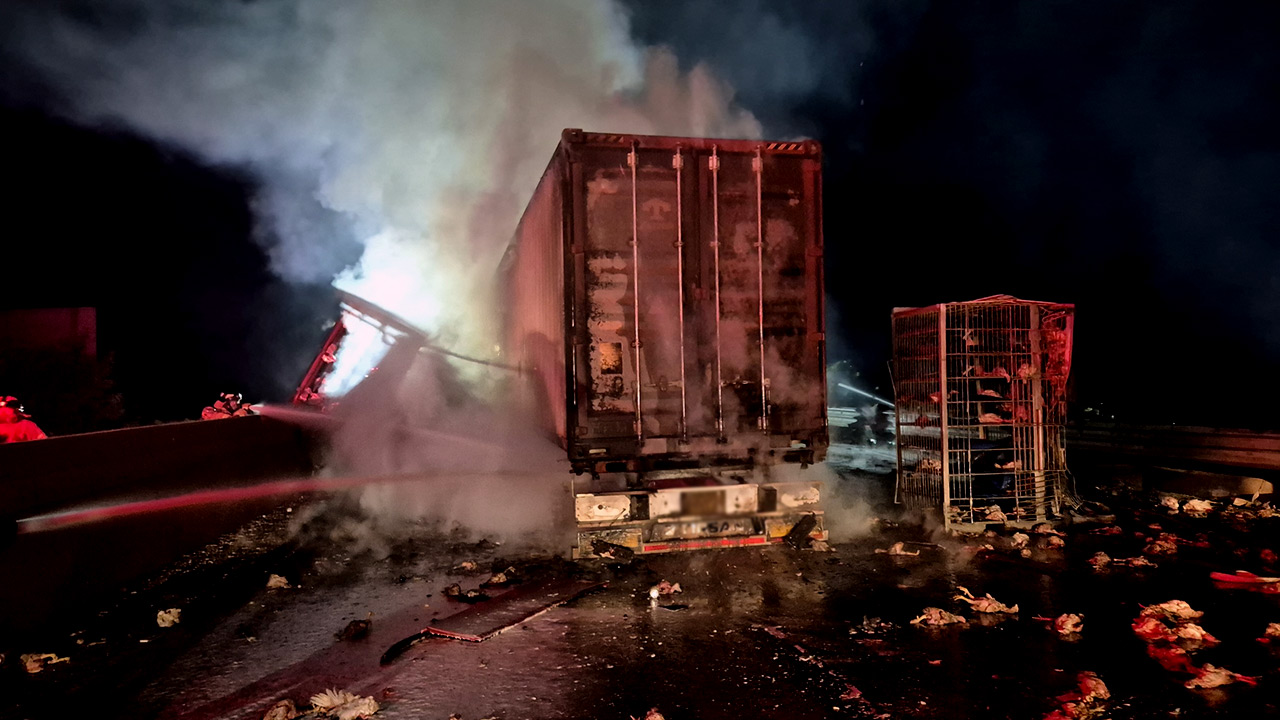 고속도로 멈춘 화물차에 트레일러·트럭 추돌‥2명 숨져