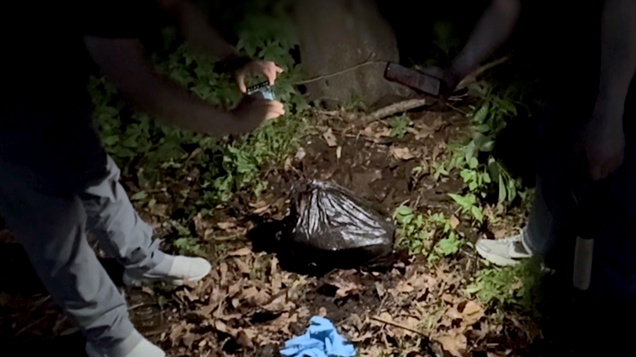 동남아에서 80억 원 상당 마약 밀반입·유통한 일당 5명 검거