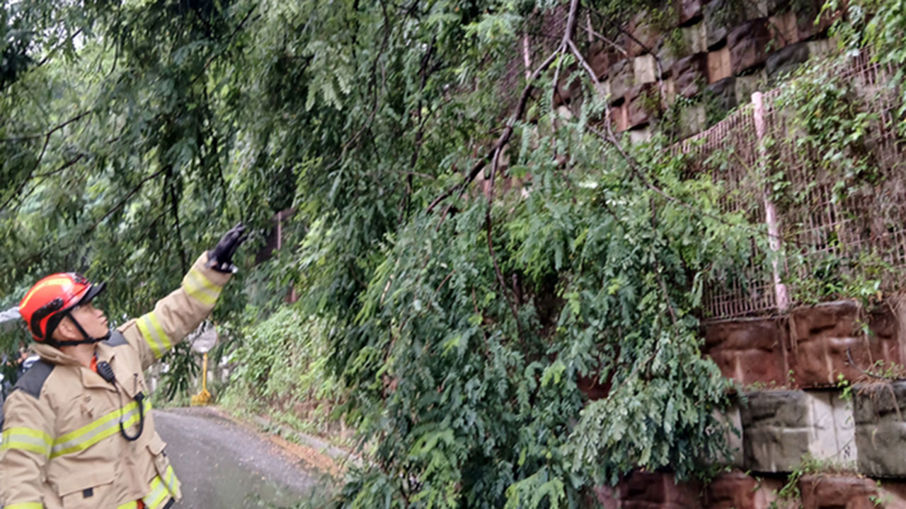 '호우주의보' 인천 비 피해 잇따라‥하천 12곳 출입 통제