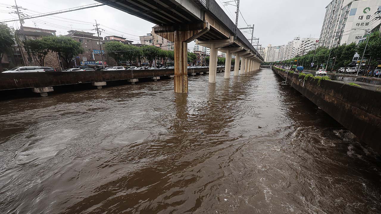 서울 도림천 신대방1교 '홍수주의보' 발령‥침수 피해 대비해야