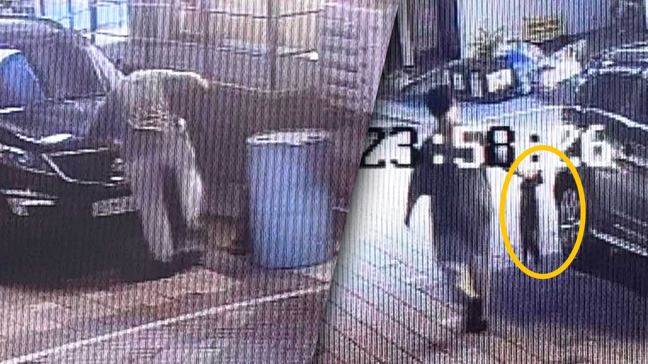 인천 중구 '길고양이 학대' 20대 입건