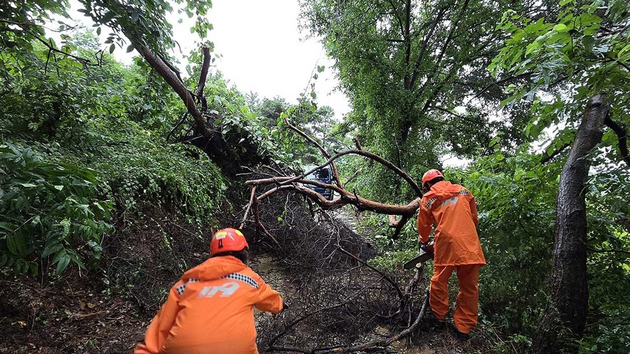 산림청, 호남·영남에 산사태 위기경보 '심각'