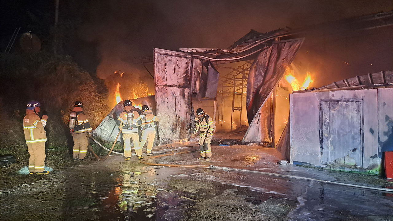 전북 남원 양계장 불‥닭 5만 5천 마리 폐사