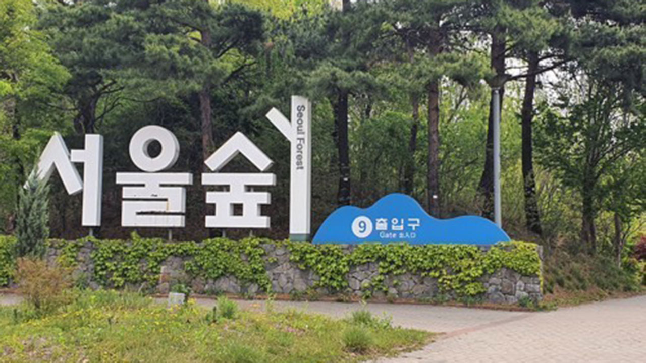 서울숲 산책로에 불 지르고 도망간 러시아 관광객 징역형 집행유예