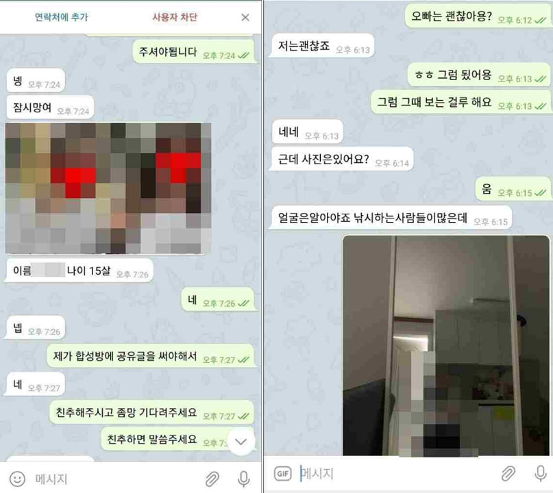'텔레그램 범죄단체 수괴' 등 사이버 성폭력범 418명 검거