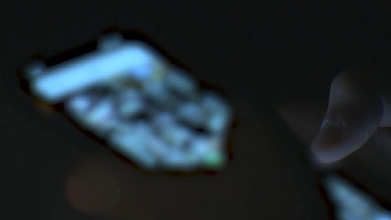 '텔레그램 범죄단체 수괴' 등 사이버 성폭력범 418명 검거