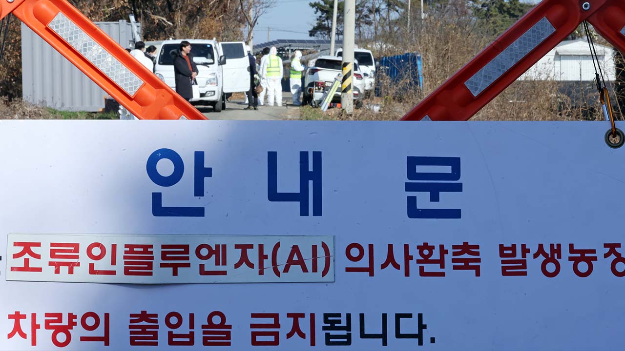 천안·안성 산란계 농장서 고병원성 AI 발생