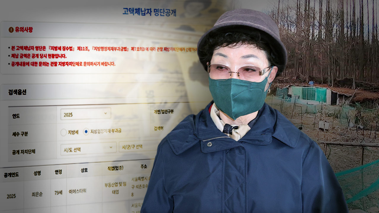 성남시, '과징금 25억 체납' 최은순 부동산 공매 의뢰