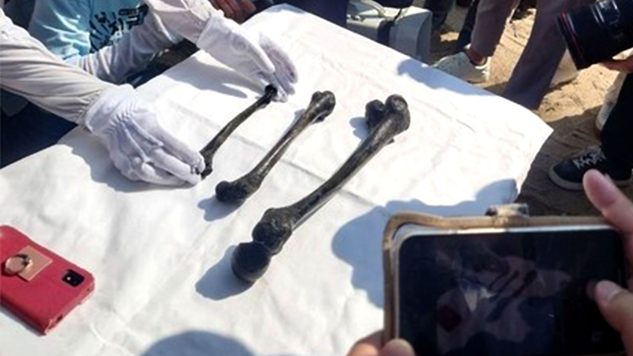 일본 "조세이 탄광 발견 인골, 경찰이 적절히 대응" 소극적 입장 되풀이