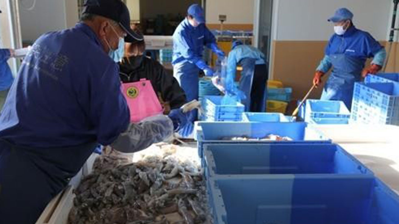 "대만 정부, 후쿠시마 식품 수입 규제 올해 안에 전면 해제 추진"