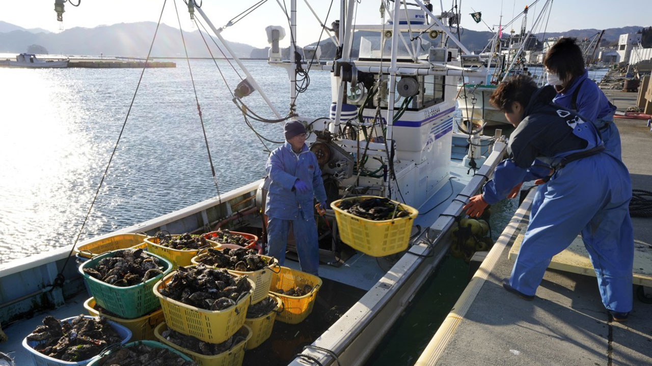중국, 일본산 수산물 수입 중지 통보‥일 총리 '대만 유사시 자위권' 시사에 추가 제재