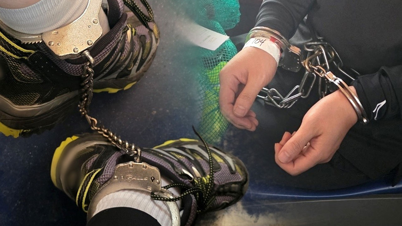 현대차 사장 "백악관, 조지아 체포·구금사태 전화로 사과"