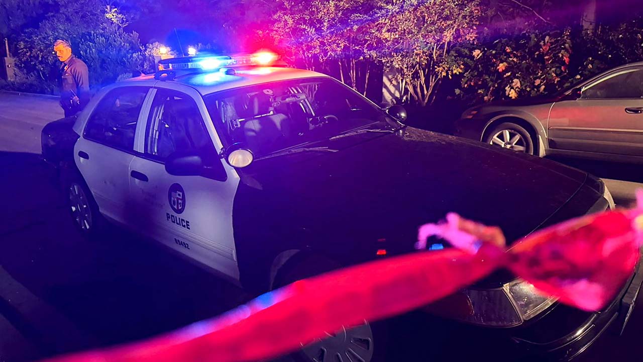 영화 해리가 샐리를 만났을 때 롭 라이너 감독 부부 피살