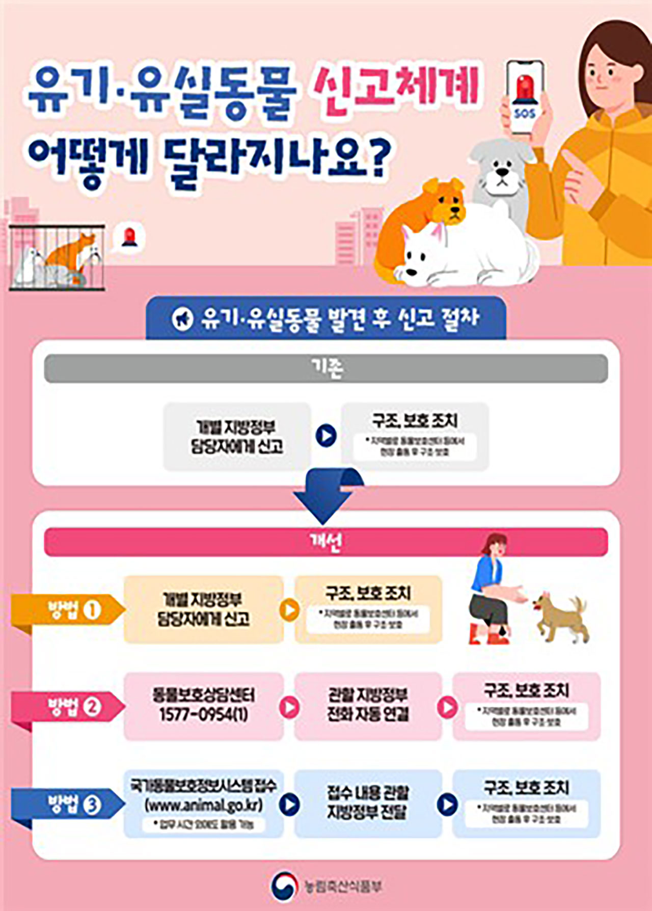 유기동물 발견하면 1577-0954로 신고하세요‥온라인 신고는 24시간 가능