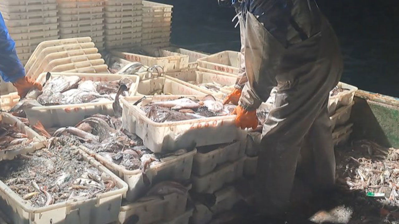 목포해경, 중국 불법조업 어선 2척 나포‥해경대원 1명 부상