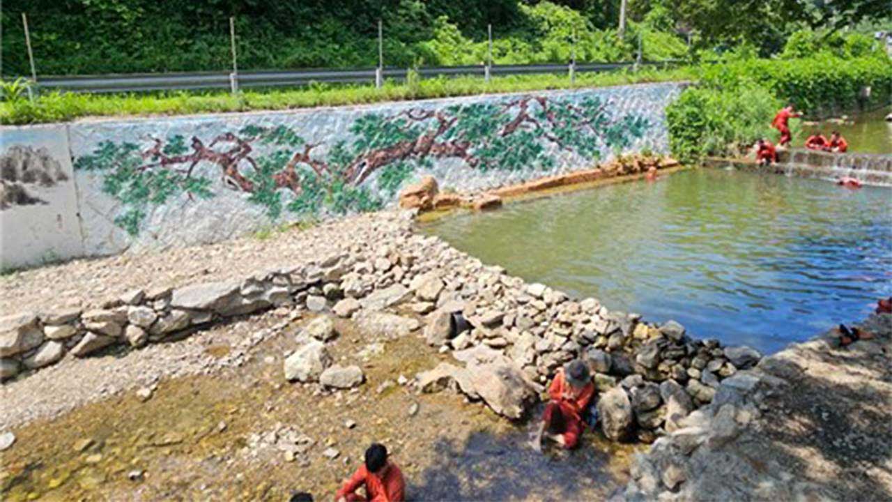 계곡 좌판 철거하고 공원·습지 조성‥개선 사업 공모