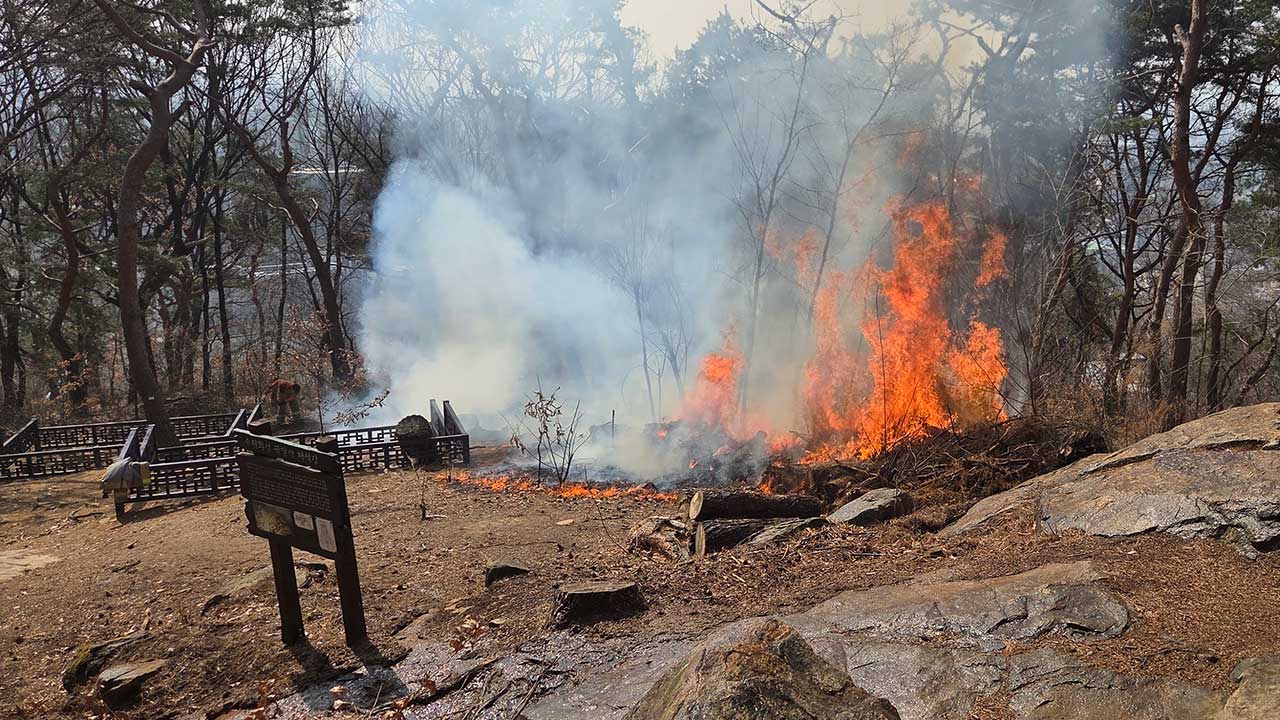 경기 수원 팔달산에 불 지른 40대 체포‥"문화재 피해 없어"