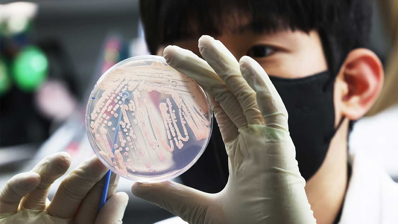 경북 영양서 라면에 산나물 넣어 먹은 주민 6명 식중독 증세