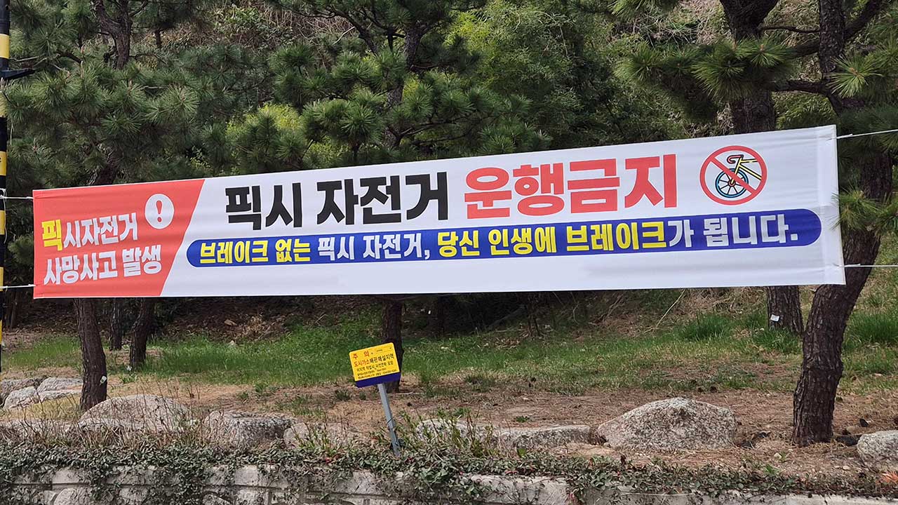 앞으로 자전거도로서 '픽시 자전거' 타면 과태료 최고 50만 원