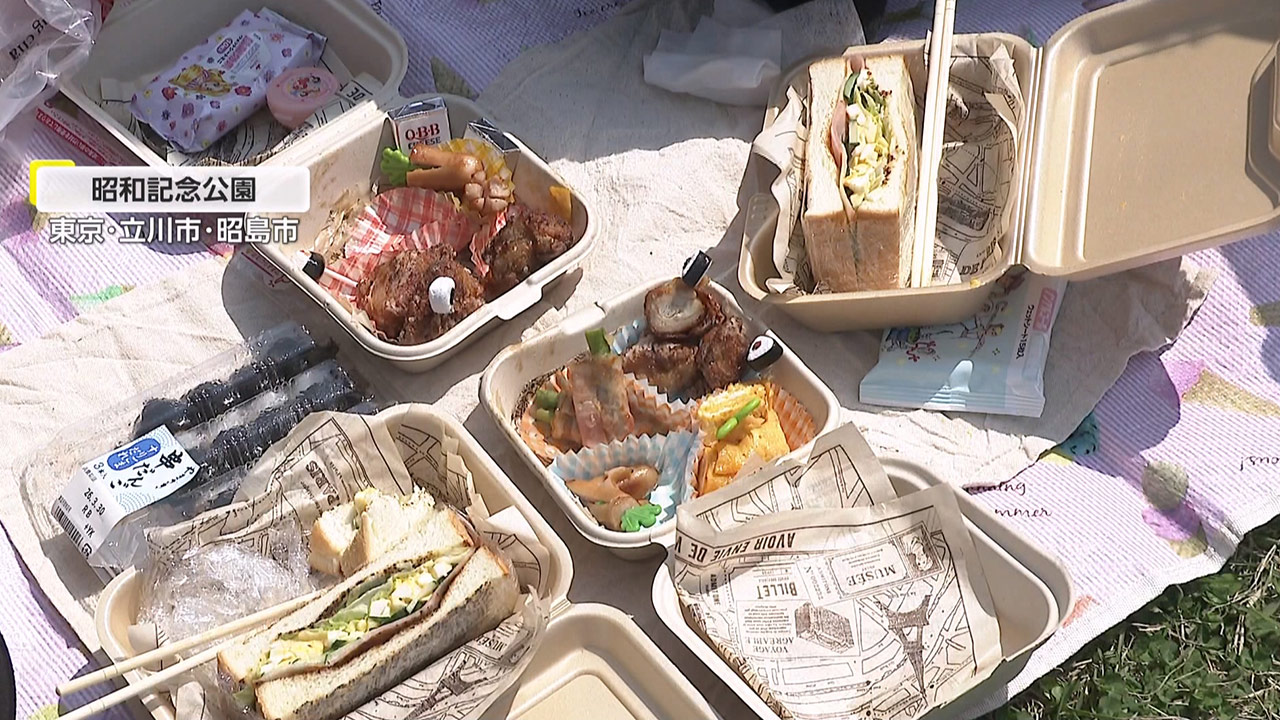 고물가 못 피해 간 日 '하나미'‥물가 대책 '평가한다' 응답은 고작 19%