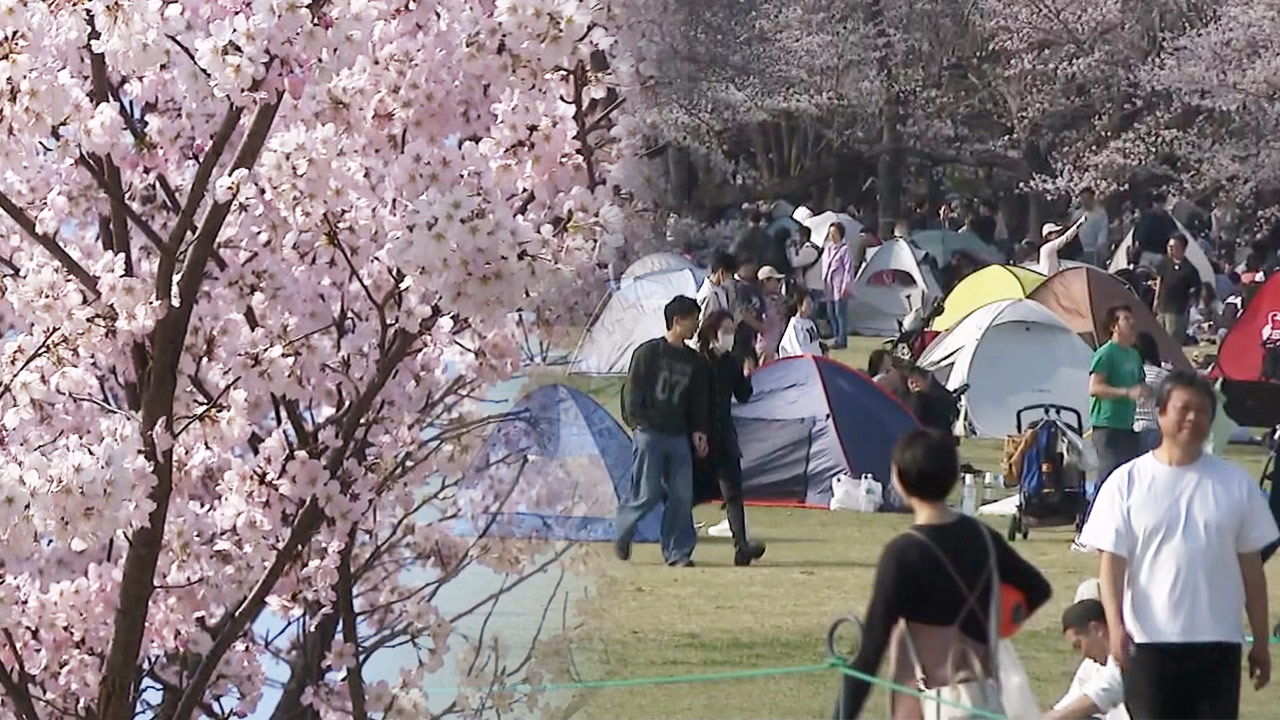 고물가 못 피해 간 日 '하나미'‥물가 대책 '평가한다' 응답은 고작 19%