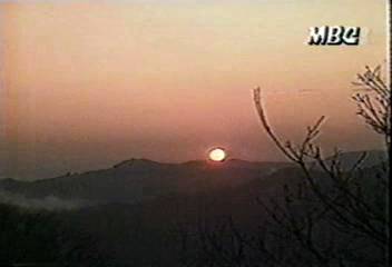 1987 정묘년 격동의 한해신용진