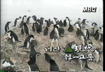 20년오와 열을 맞춰펭권의 모성애