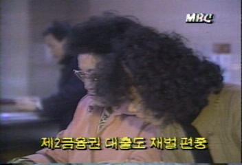 제2금융권 대출도 재벌기업에 편중백지연