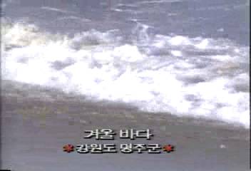 데스크영상겨울바다강원도 명주군