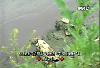 경기도 한강 유입 하천 수질관리백지연