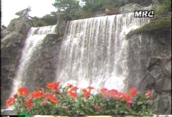 7월의 기상 전망지윤태