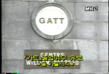 올 가을까지 가트 졸업 여부 유보백지연