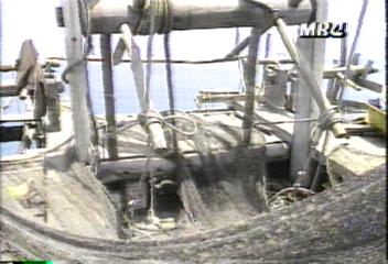 현대판 노예선 서해안 새우잡이 배의 조업 실태오경환