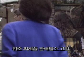 서울시특허청 외제품 판매업소 일제 단속백지연