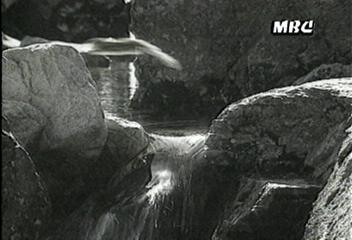 데스크영상산골짜기 다람쥐 설악산