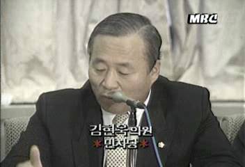 김현옥 의원(민자당) 쌀시장 개방 관련 발언
