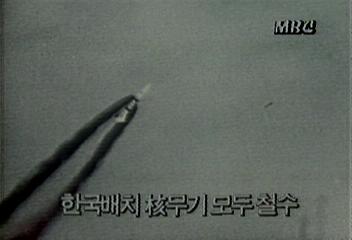 한국 배치 핵무기 모두 철수백지연