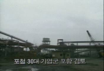 정부 포철 30대 기업군 포함 검토백지연