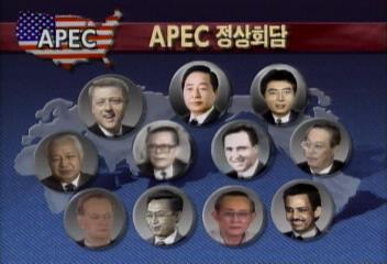 APEC 태평양으로 진출하는 신외교 출발김성수